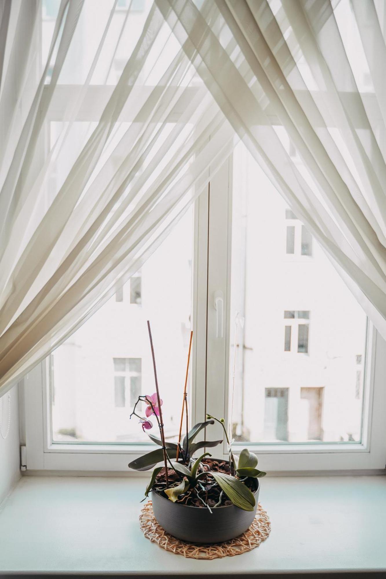 Family Apartment In Riga Center And Free Parking Екстериор снимка